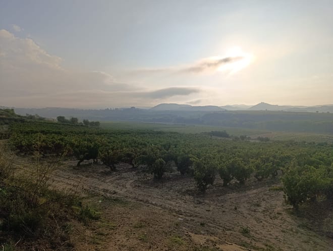 Three Day Rioja Wine Experience - Photo 27