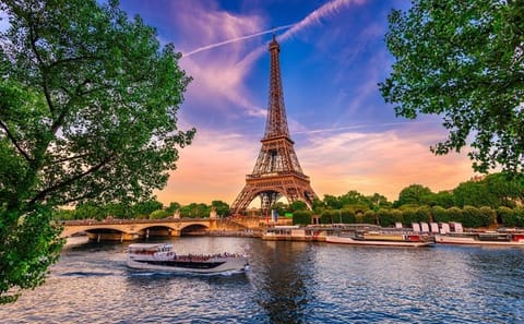 Seine River Sightseeing Cruise with Audio Guide, Paris