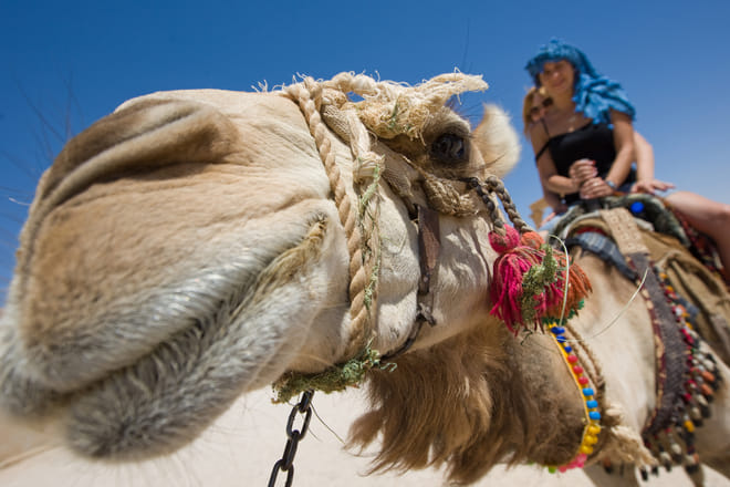 Desert and Fez Tour 3 days  5