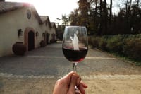 Small-Group Half Day Tour to Concha y Toro Winery 4