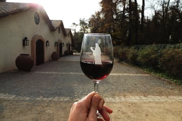 Small-Group Half Day Tour to Concha y Toro Winery