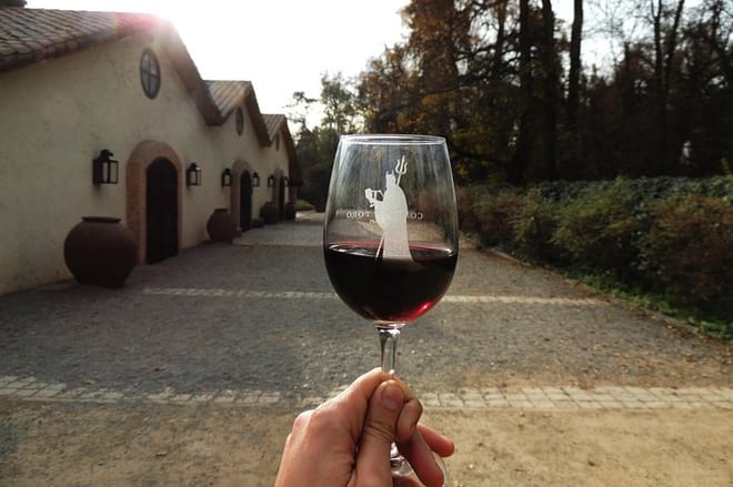 Small-Group Half Day Tour to Concha y Toro Winery 4