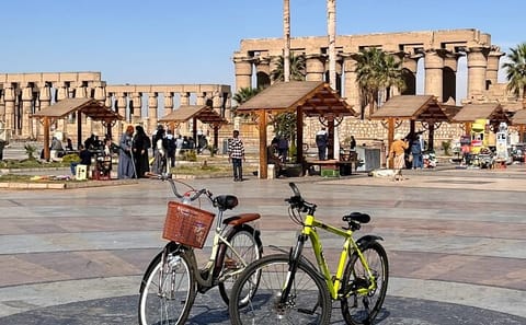 Guided Bike Tour of East Luxor with Scenic Views and Stops