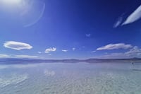 Private Day Tour to Qinghai Lake and Chaka Salt Lake from Xining 3