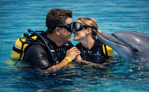 Zanzibar Honeymoon Experience