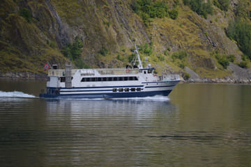 Whale Watching Adventure Tour in Reykjavík, Iceland