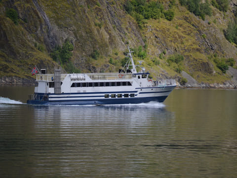 Whale & Marine Adventure Tour, photo 4