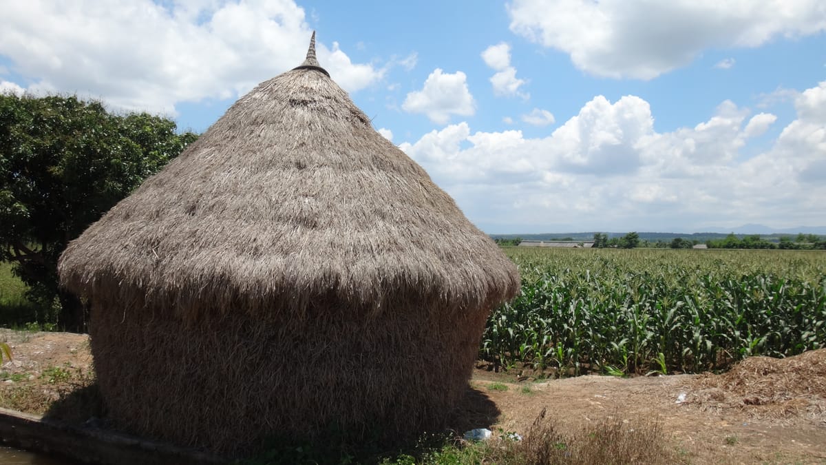 Chiang mai Suthep National Park Leisure Hiking & Mountain Biking