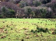 Hike Connemara National Park Including Transport from Galway City. Guided. Full Day. 8