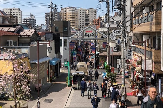 Old Town Tokyo Food Tour photo 4