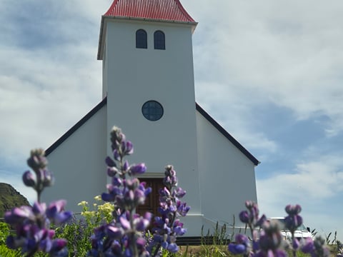 Full Day Private Iceland South Coast Tour , photo 11