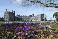 Walk historic Kilkenny with a qualified tour guide. (English) 2