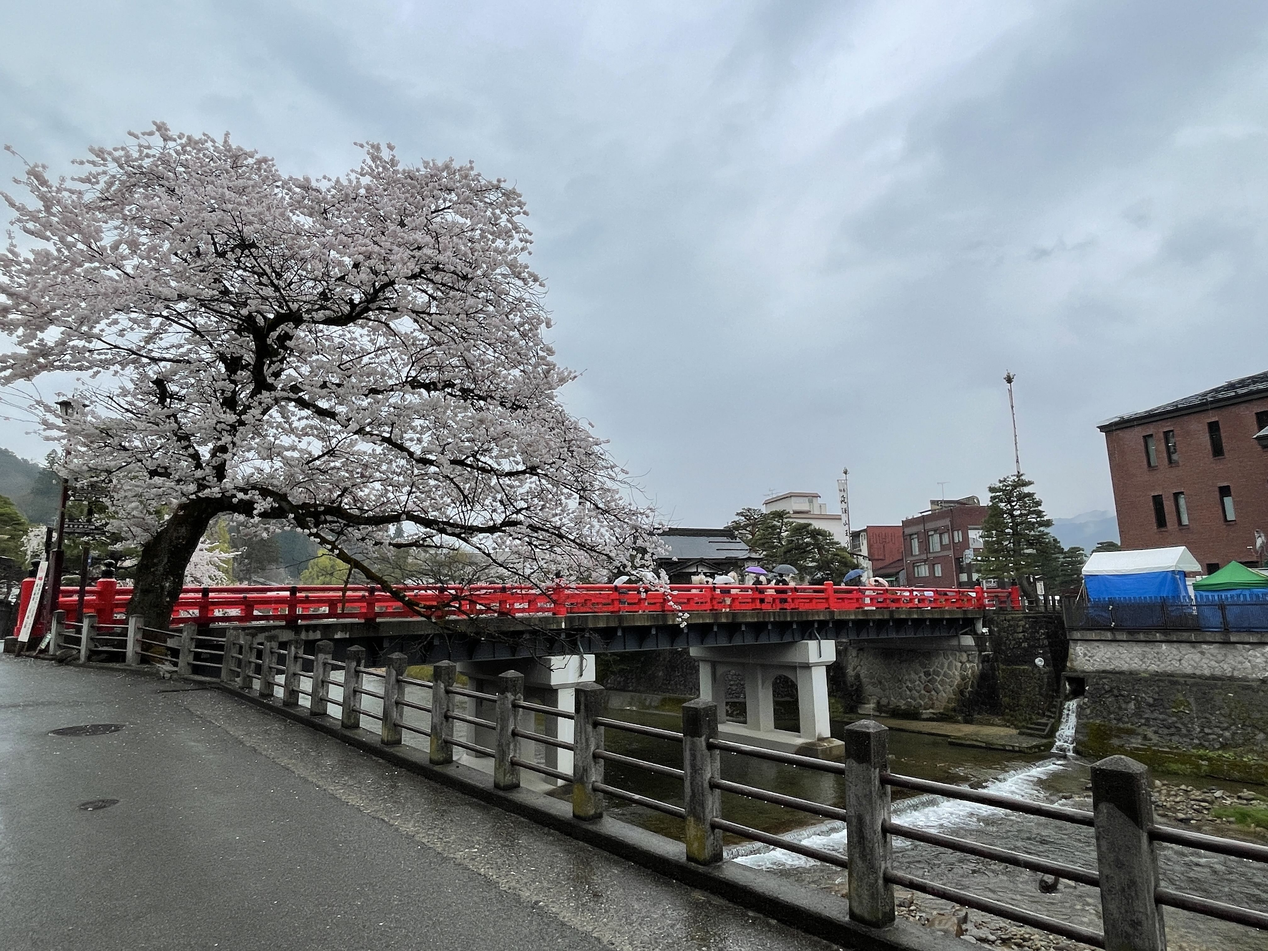 Takayama oldtownship walking tour with local guide. (About 45min)