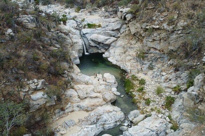 Living nature
