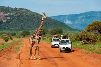 Mt Kenya Trekking Tour Safari Expedition Kenya