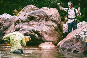 Amazon Wildlife Tour in Rurrenabaque, Bolivia - 3 Days