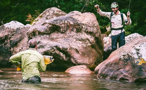 Amazon Wildlife Tour in Rurrenabaque, Bolivia - 3 Days