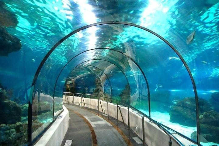 Hurghada Grand Aquarium Discovery Tour with Tickets & Transfers