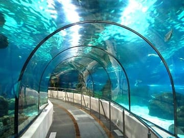 Hurghada Grand Aquarium Discovery Tour with Transfers