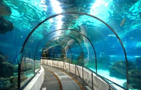 Hurghada Grand Aquarium Discovery Tour with Tickets & Transfers