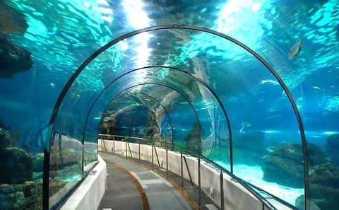 Hurghada Grand Aquarium Discovery Tour with Transfers