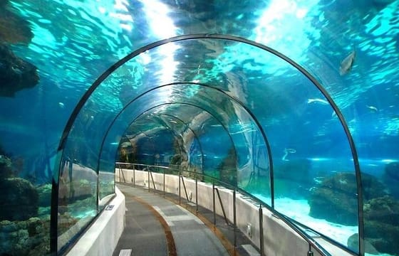 Hurghada Grand Aquarium Discovery Tour with Tickets & Transfers