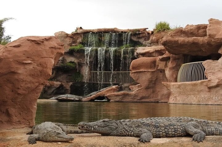 Croco Park Safari Adventure with Convenient Transfers – Agadir