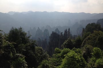 Zhangjiajie National Forest Park Sightseeing Tour