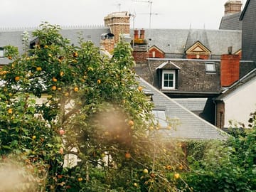 Private Guided Walking Tour of Historic Honfleur