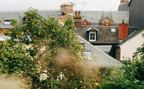 Private Guided Walking Tour of Historic Honfleur