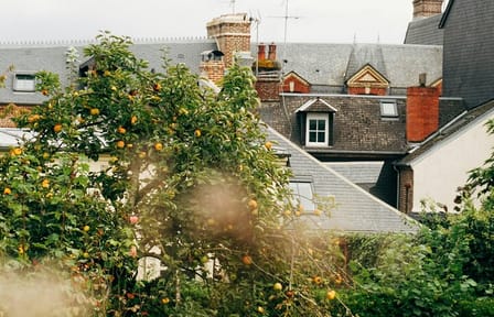 Private Guided Walking Tour of Historic Honfleur
