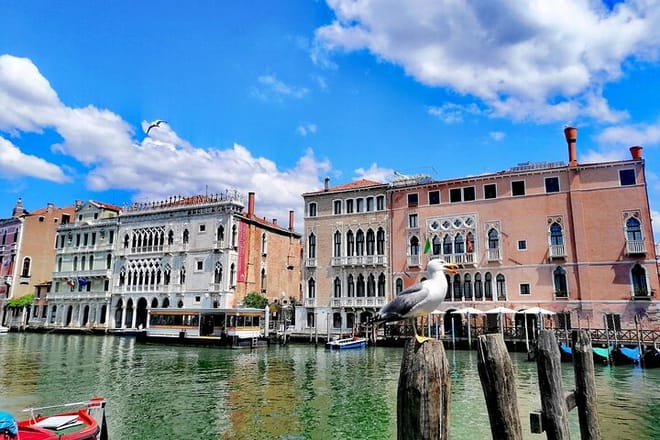 Fish Shopping in Rialto and Home Cooking in Murano photo 3