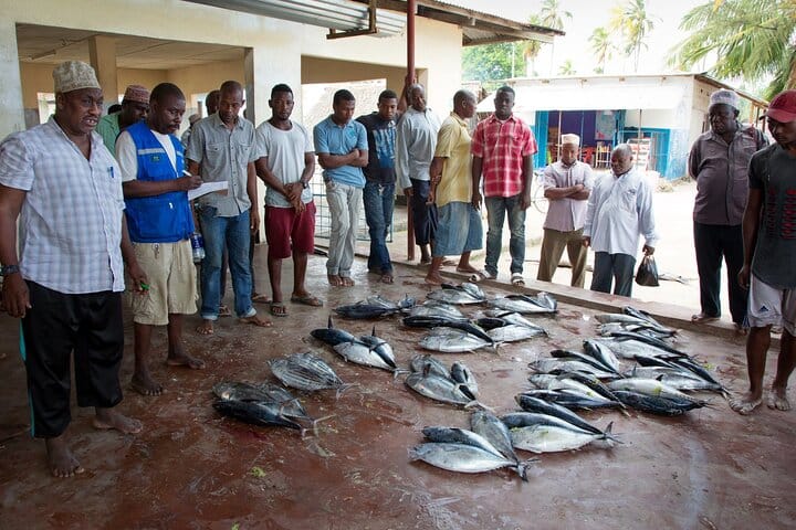 Transparent Kayak Adventure and Drone Experience in Zanzibar