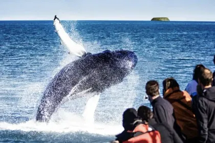 Private Nature Lovers Tour from Akureyri