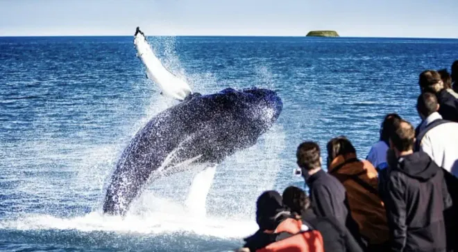 Private Nature Lovers Tour from Akureyri