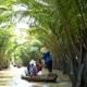 Mekong Delta Full-Day Tour with Sampan Boat Ride and Lunch