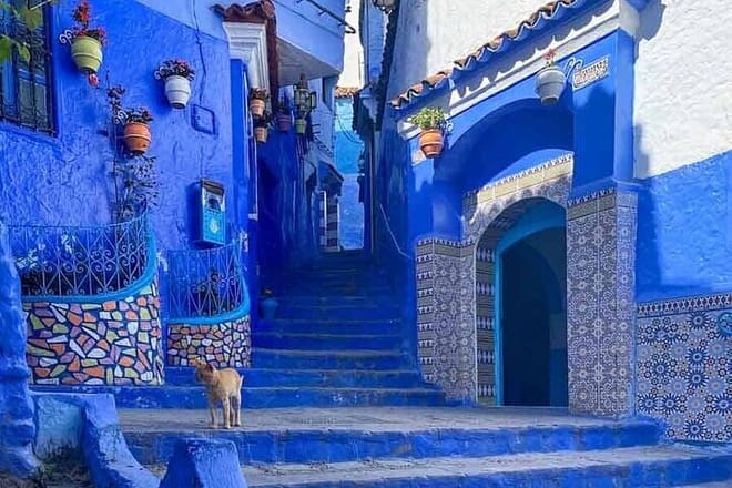 Capture unforgettable photos in Chefchaouen, nestled in the Rif Mountains.