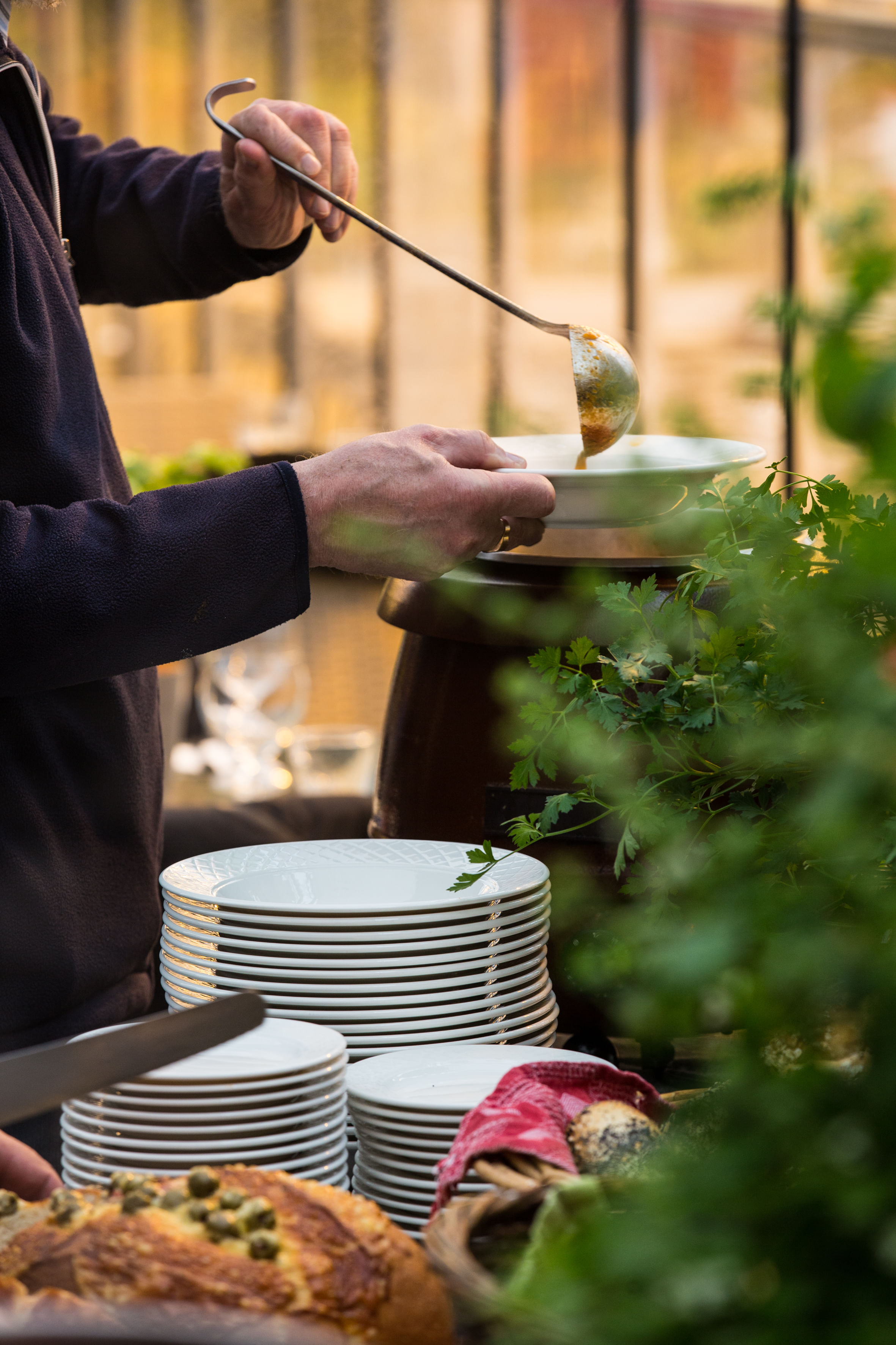 Greenhouse Tomato soup at Friðheimar Farm