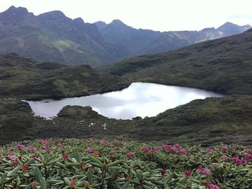 One of the lakes with dwarf rhododendron flower in the foreground