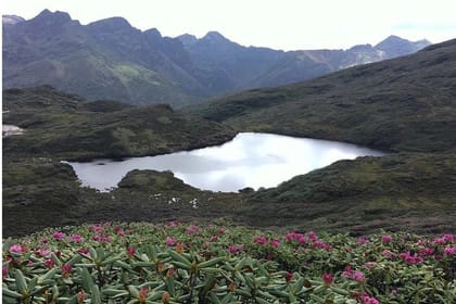 10 Days Druk Path Trek in Pristine Bhutan