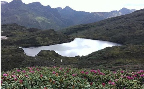 10-Day Druk Path Trek in Paro and Phajoding, Bhutan