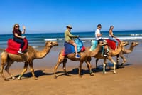 Private Cape Spartel 3-Hour Tour with Camel Ride from Tangier 10