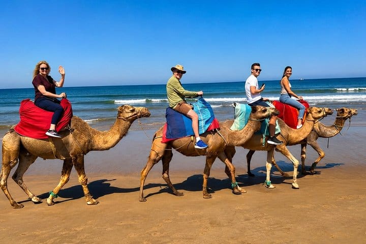 Private Cape Spartel 3-Hour Tour with Camel Ride from Tangier 10
