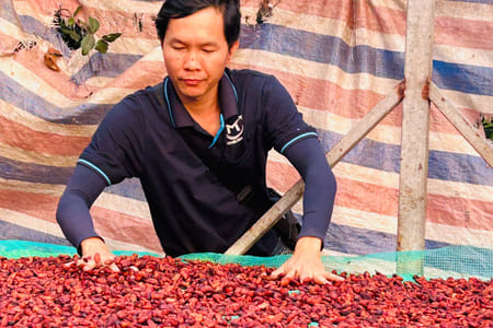 Private Day Trip to the Untouched Mekong - Go Cong