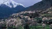 Real Morocco – Upscale & VIP | 1 Day: Private & Luxury 7