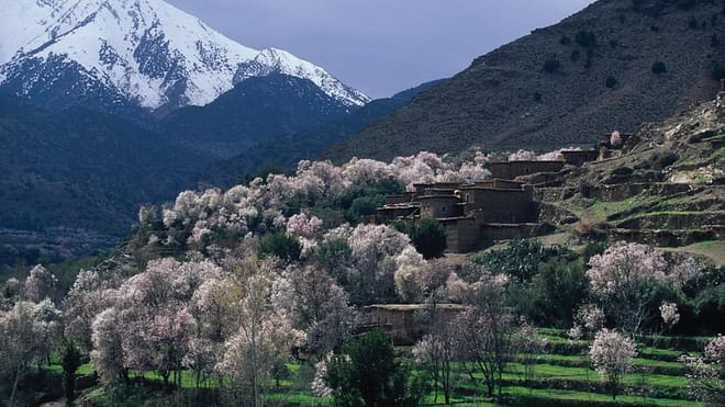 Real Morocco – Upscale & VIP | 1 Day: Private & Luxury 7