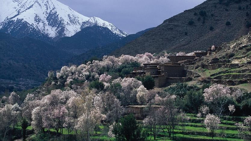 Real Morocco – Upscale & VIP | 1 Day: Private & Luxury 7