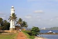 Ceylon Eco & Safari Tour 8
