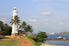 Ceylon Eco & Safari Tour 8