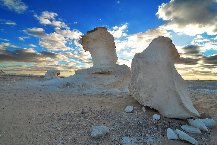 Black & White Desert Adventure Tour from Cairo to Bahariya Oasis